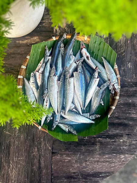Nục nhí 2 Nục nhí 2